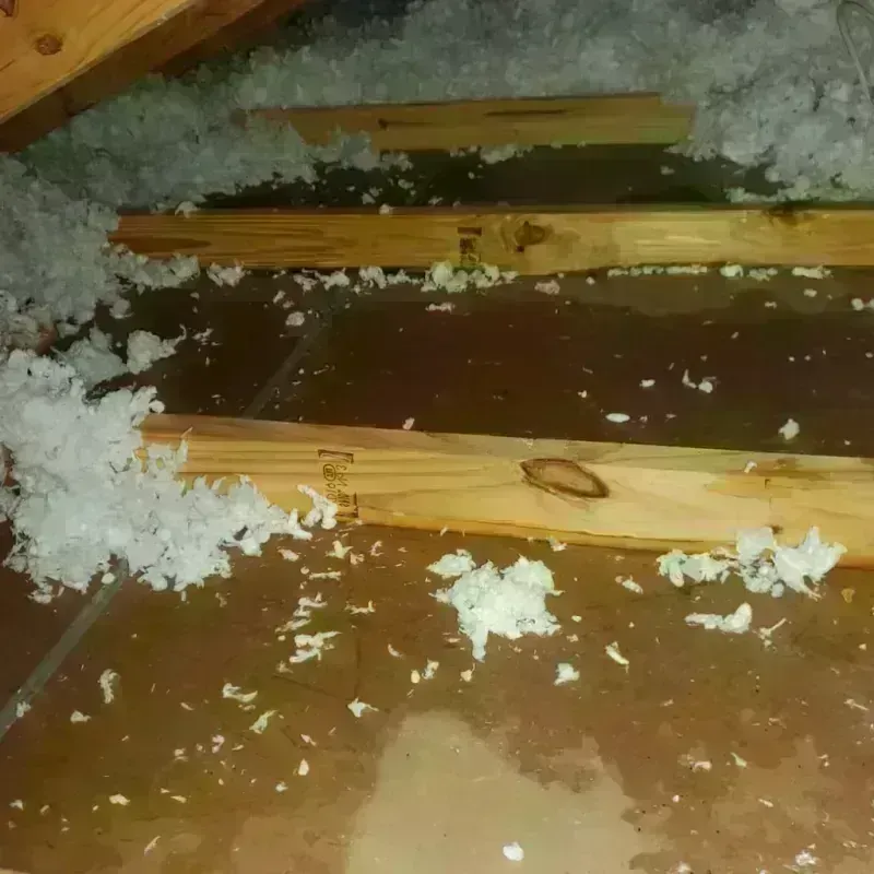 Attic Water Damage in Janesville, CA